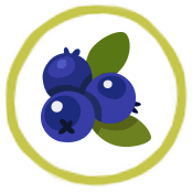 Image result for banana and blueberry icon