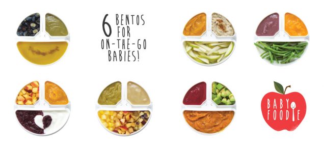 6 Bentos For On-The-Go Babies