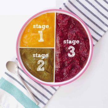 Baby Food Stages