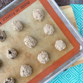 Healthy Cookie Alternative