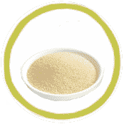 beta glucan yeast