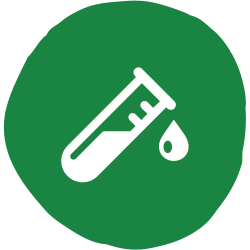 test tube icon - testing and auditing