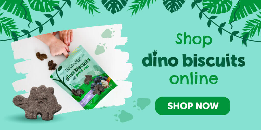 shop dino biscuits online