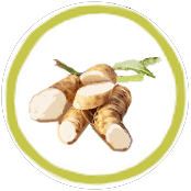 chicory root ingredient